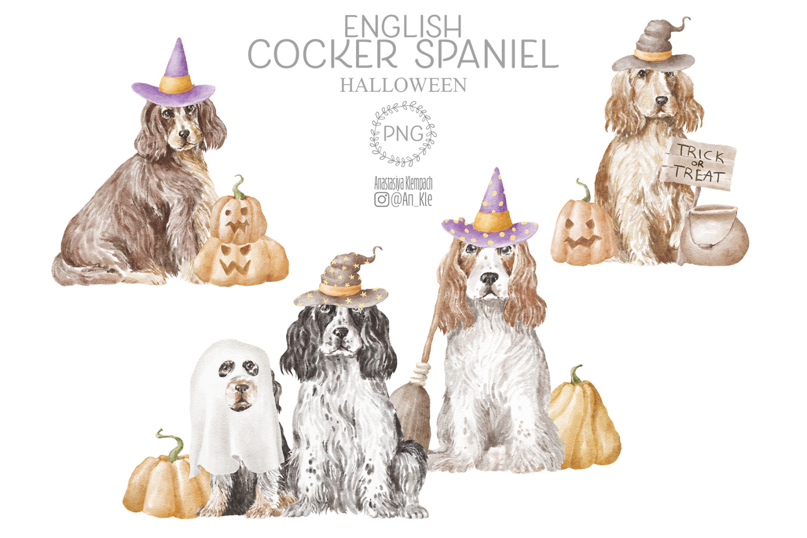 English Cocker Spaniel English Cocker Spaniel