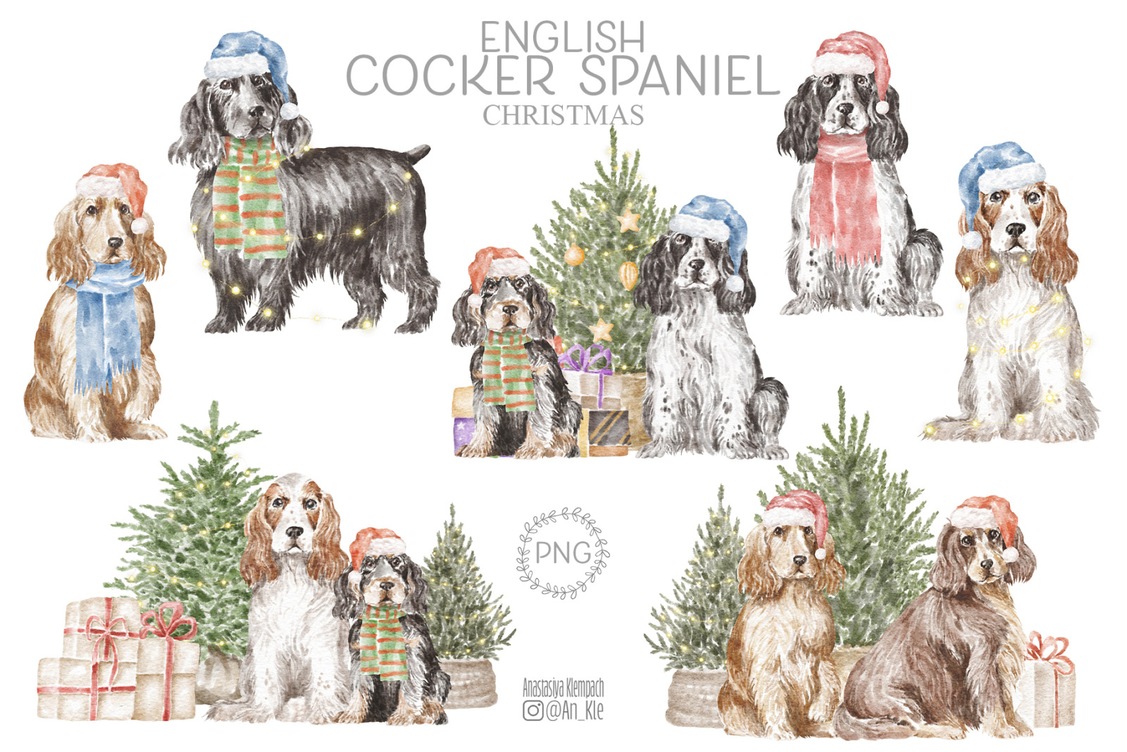 English Cocker Spaniel English Cocker Spaniel