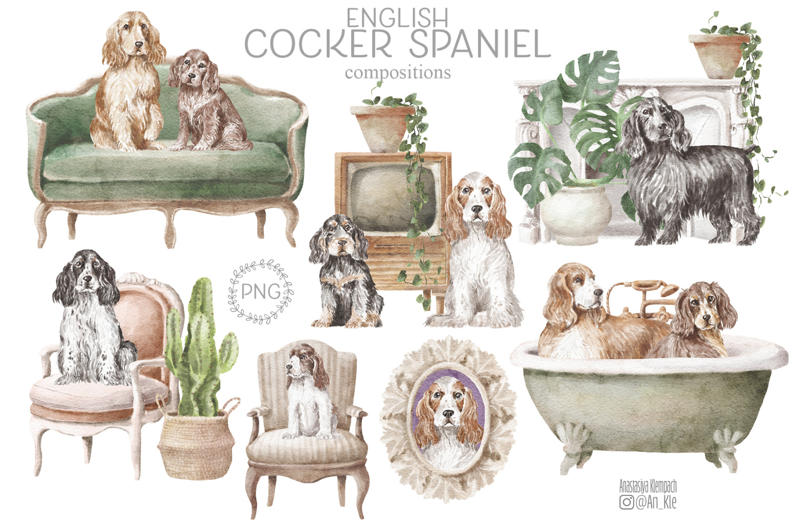 English Cocker Spaniel English Cocker Spaniel