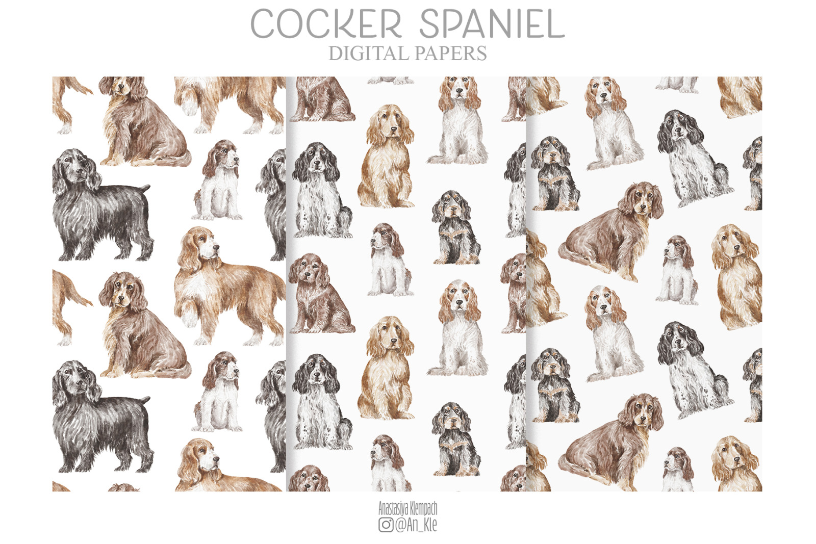English Cocker Spaniel English Cocker Spaniel