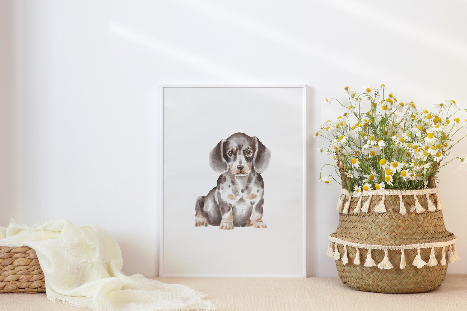 Dachshund dogs and puppies Dachshund dogs and puppies