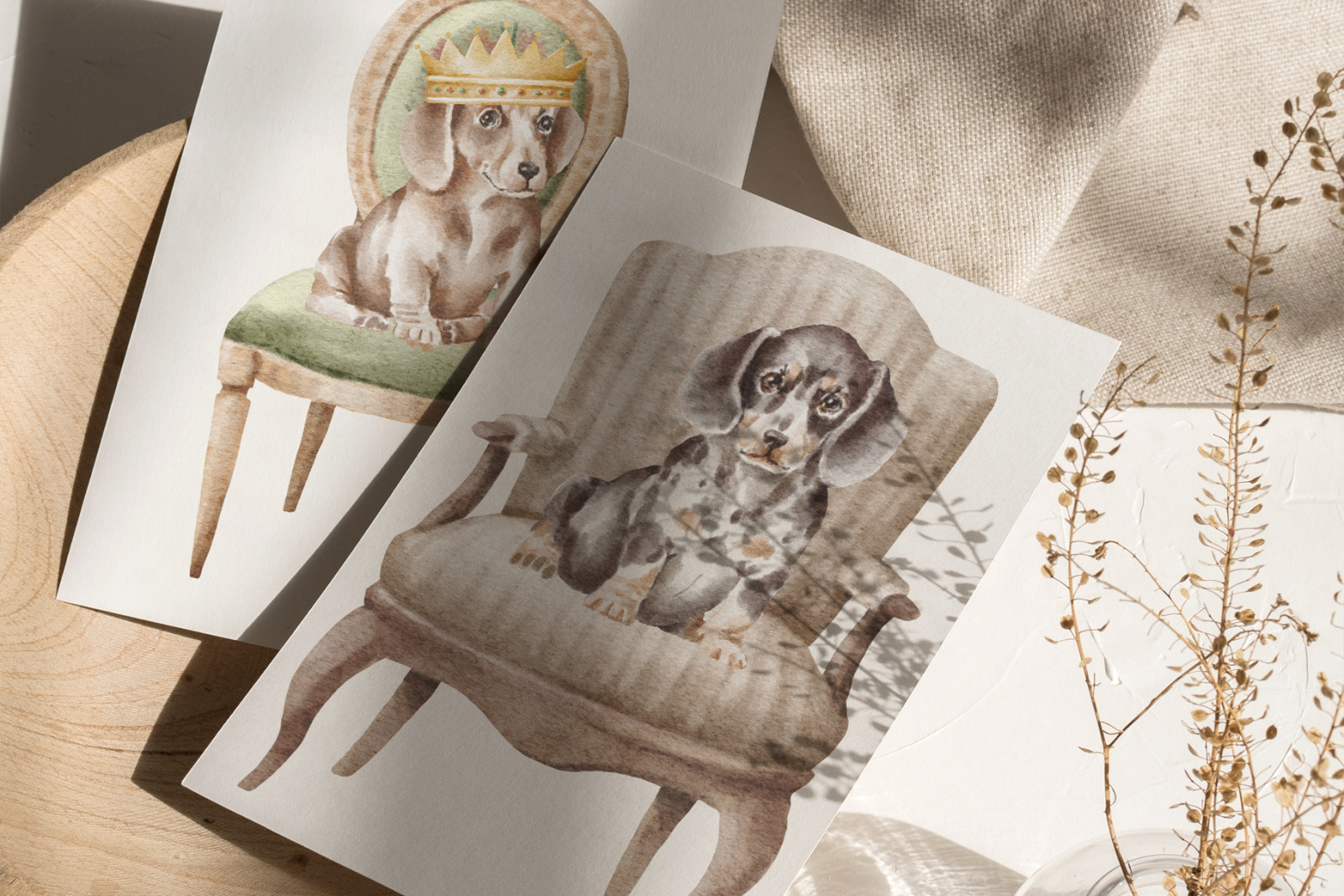 Dachshund dogs and puppies Dachshund dogs and puppies