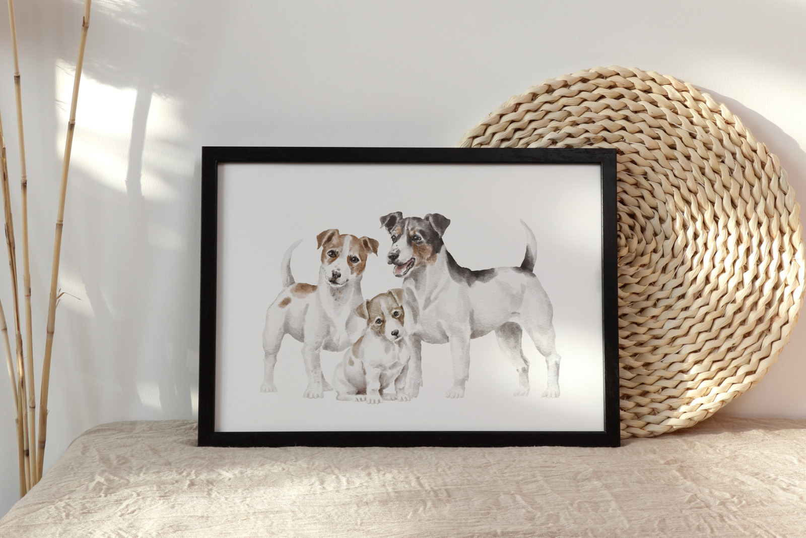 Jack Russel Terrier Jack Russel Terrier