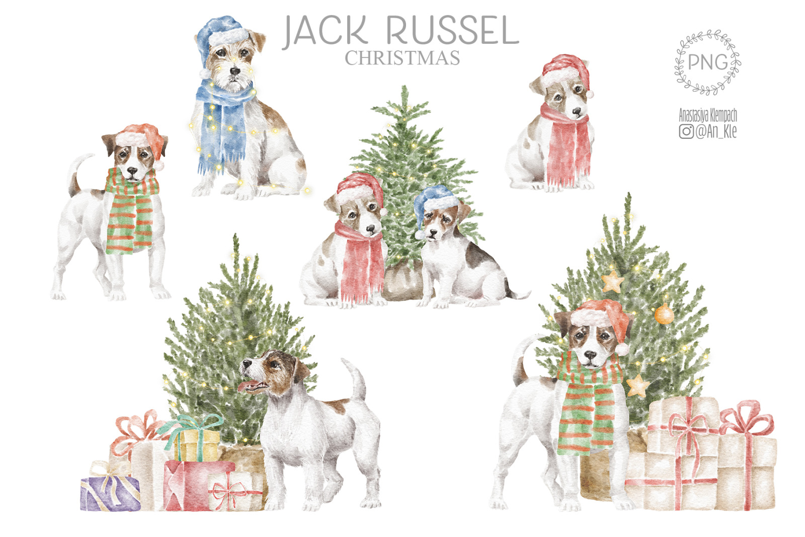 Jack Russel Terrier Jack Russel Terrier