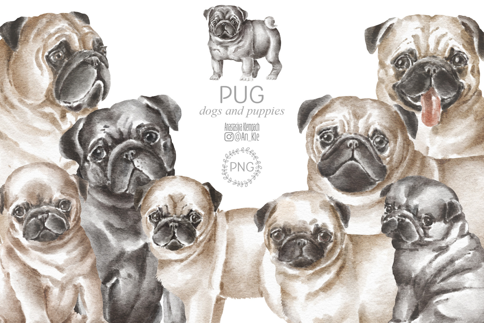 Pug dogs clipart