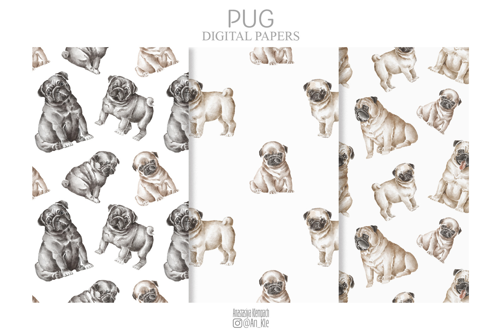 Pug dogs clipart