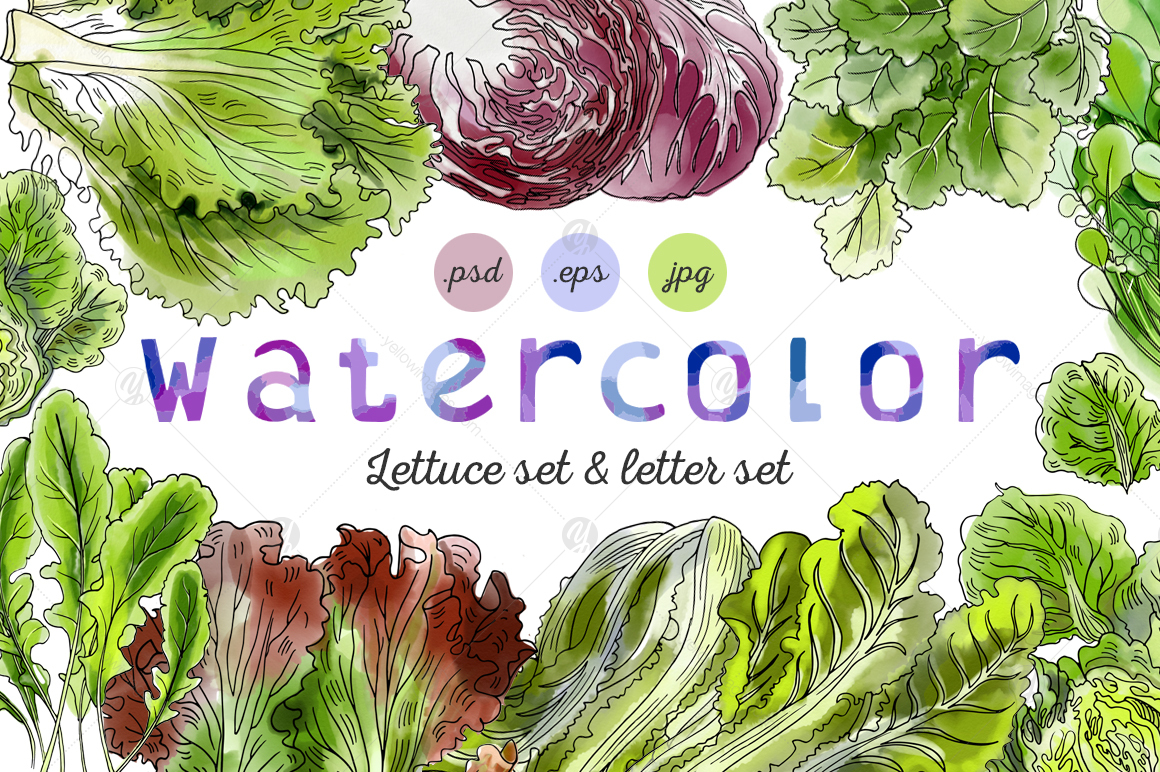 Lettuce watercolor letter set Lettuce watercolor letter set