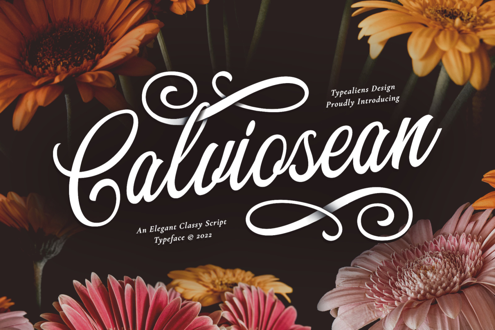 Calviosean Font Calviosean Font