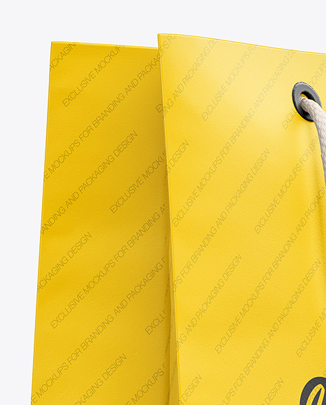 Matte Paper Shopping Bag w/ Rope Handles Mockup