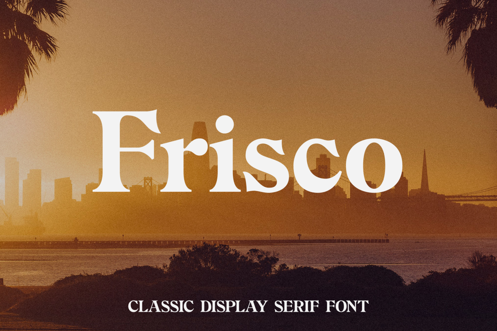 Modern Classic Font Bundle