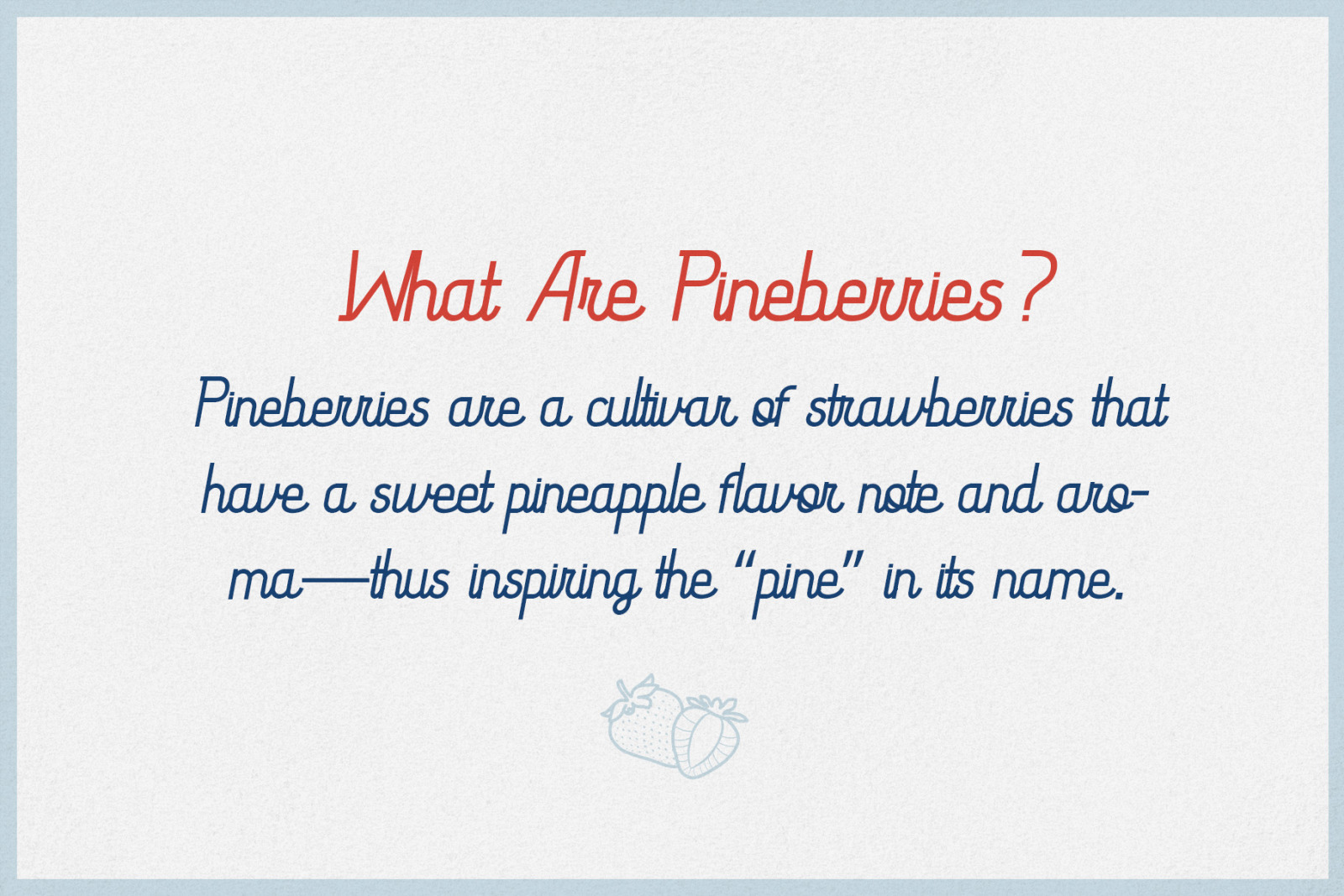 Pineberry - Script Typeface