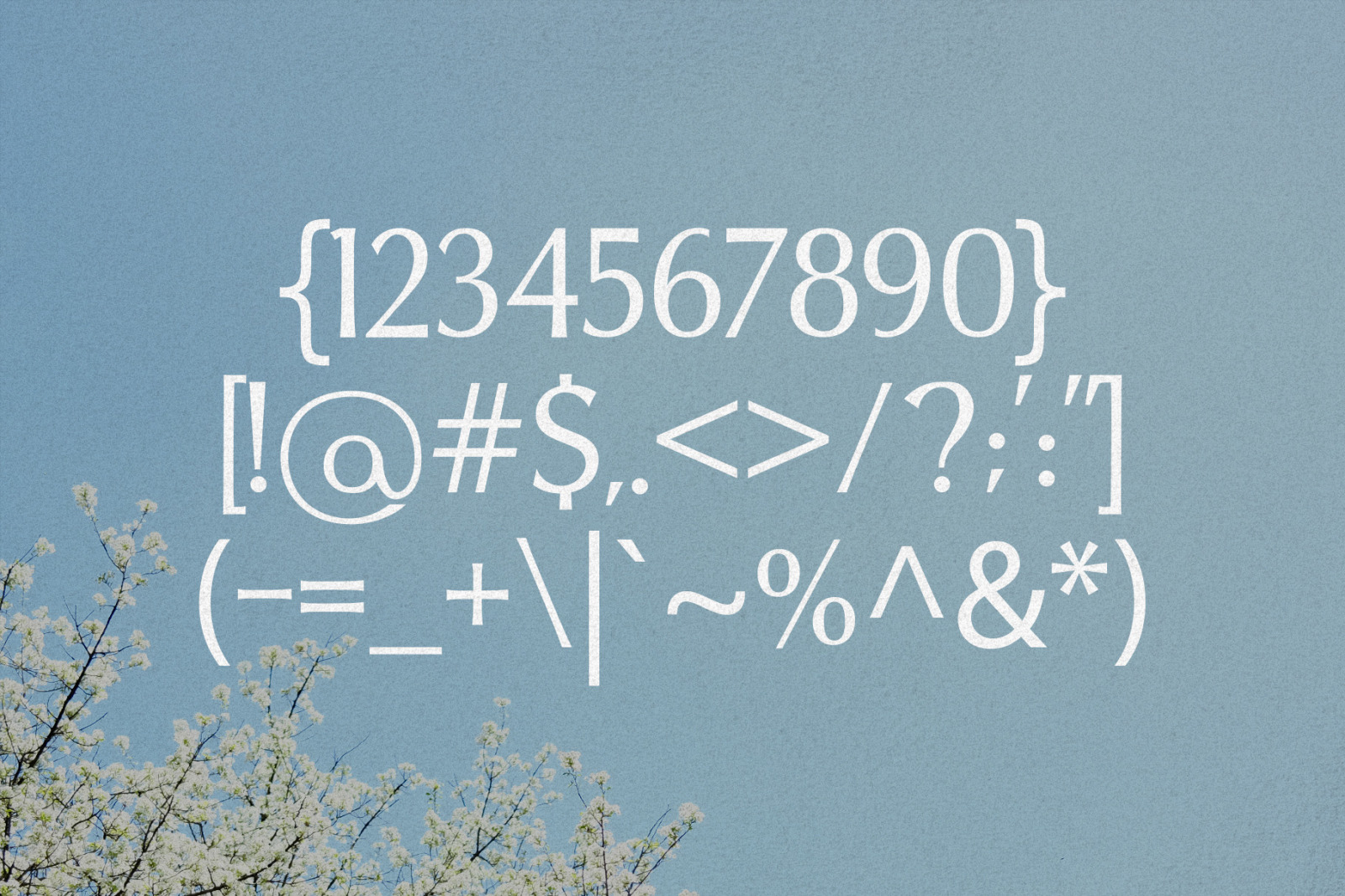 Spring Melody - Humanist Typeface Spring Melody - Humanist Typeface