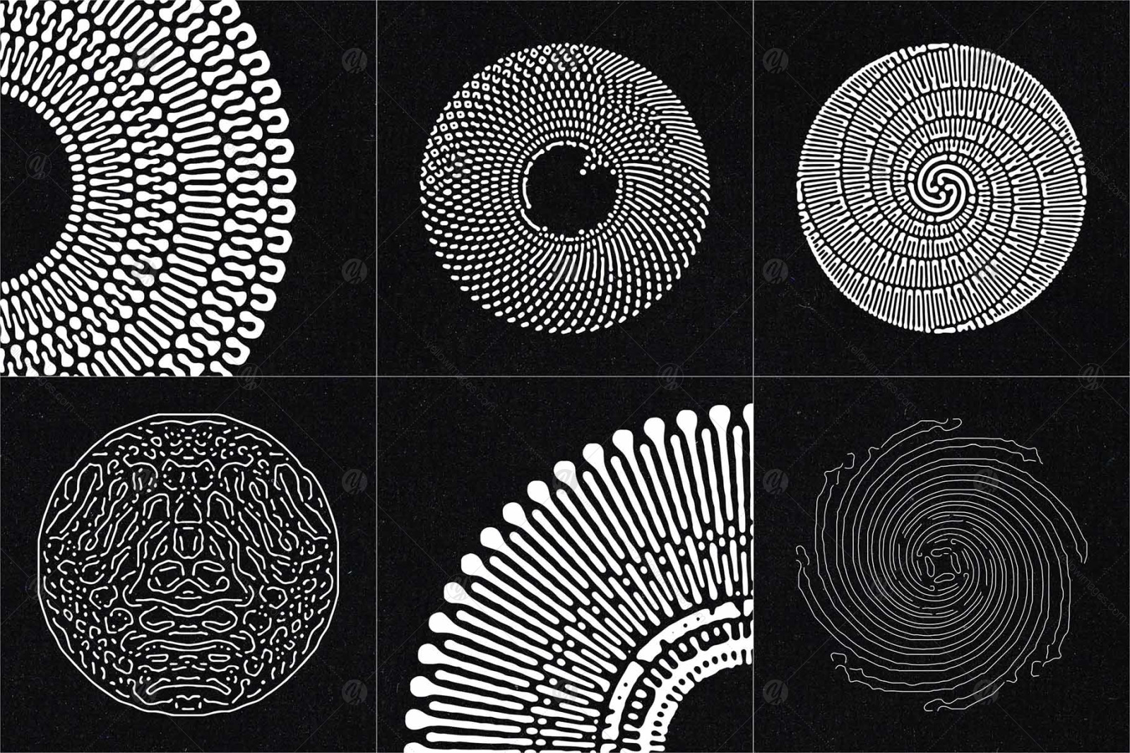 Organic Circle Design Elements