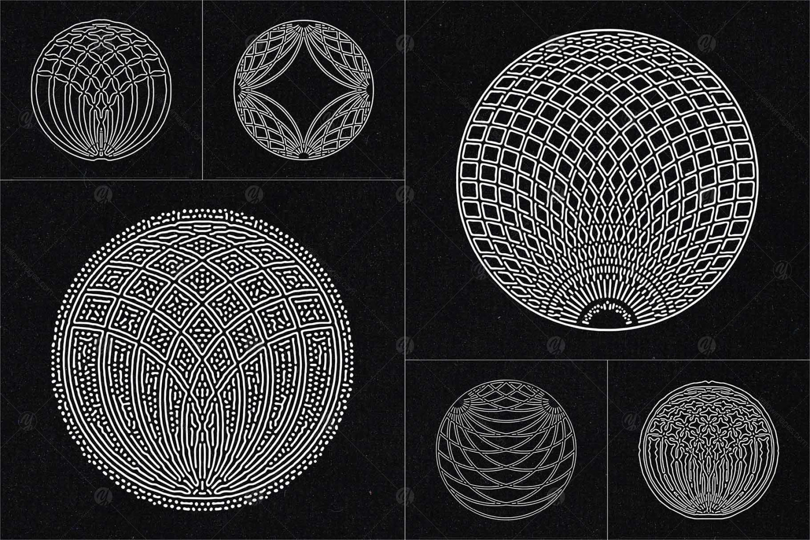 Organic Circle Design Elements