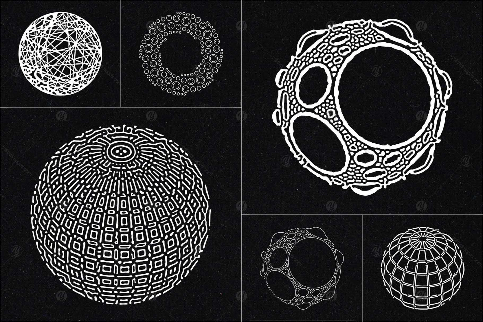 Organic Circle Design Elements