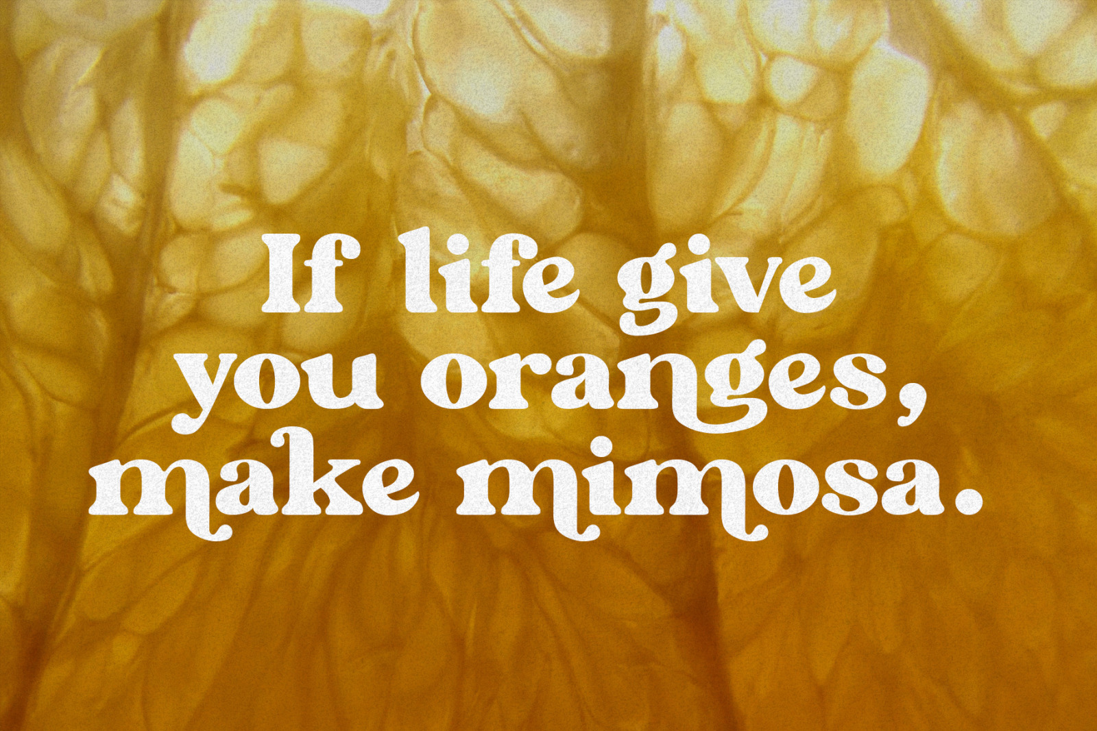 Mimosa - Modern Retro Typeface