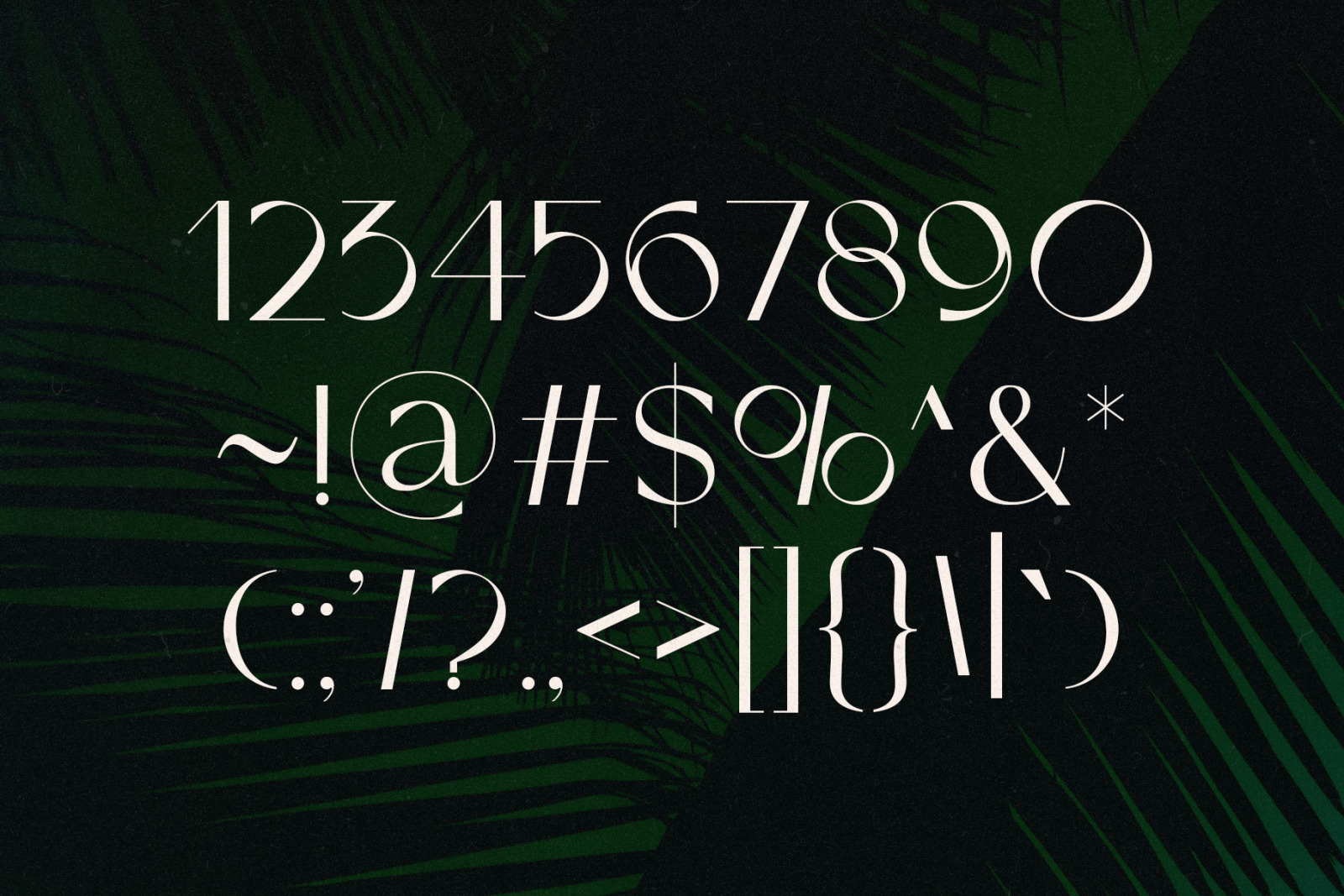 Ovsaniya - Timeless Typeface