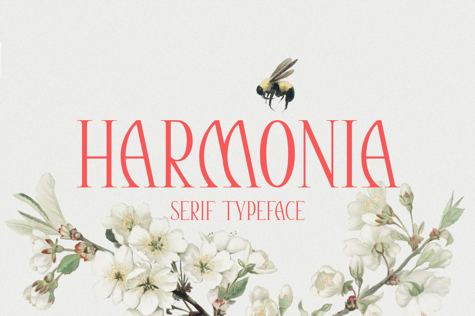 Harmonia - Elegant Serif