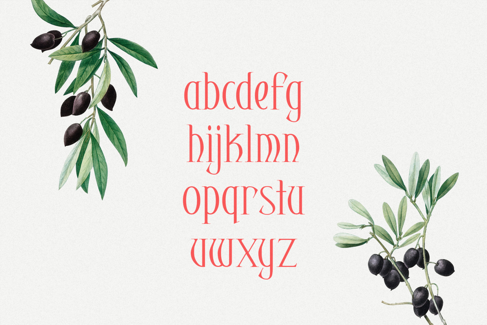 Harmonia - Elegant Serif Harmonia - Elegant Serif