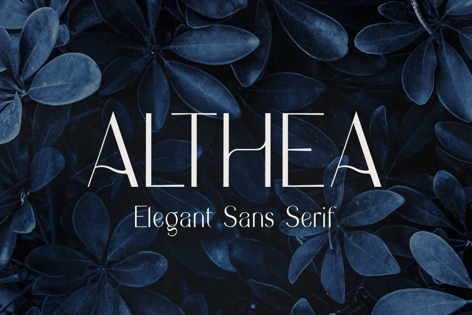 Althea - Elegant Sans Serif Althea - Elegant Sans Serif