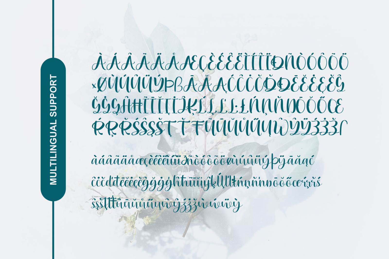 HALEEZA - Elegant Script Romantic Wedding Invitation Font HALEEZA - Elegant Script Romantic Wedding Invitation Font