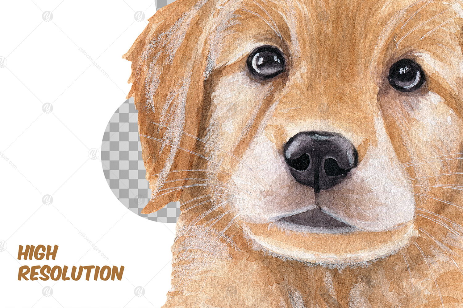 Watercolor Golden Retriever puppies clipart-Labrador png