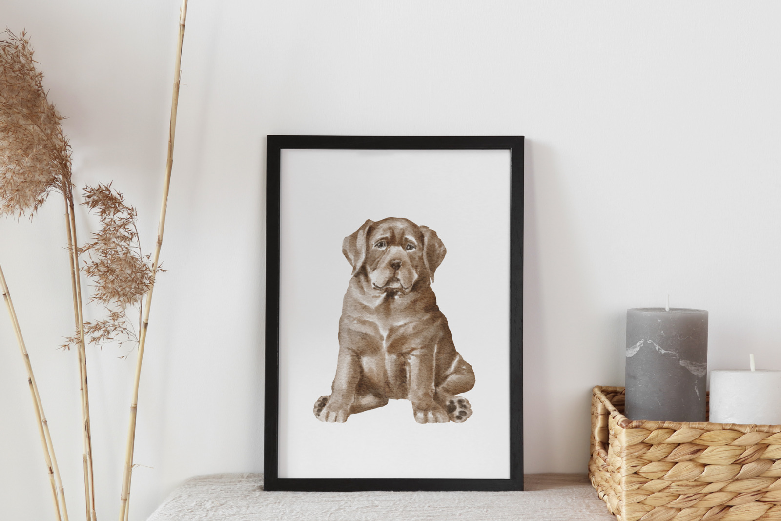 Labrador dogs and puppies Labrador dogs and puppies