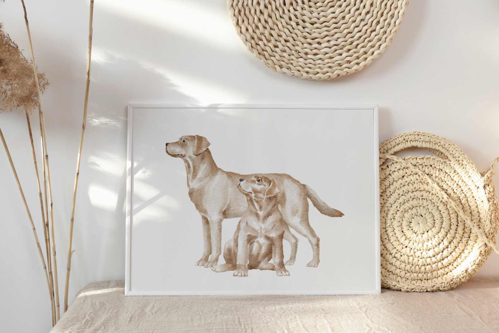 Labrador dogs and puppies Labrador dogs and puppies