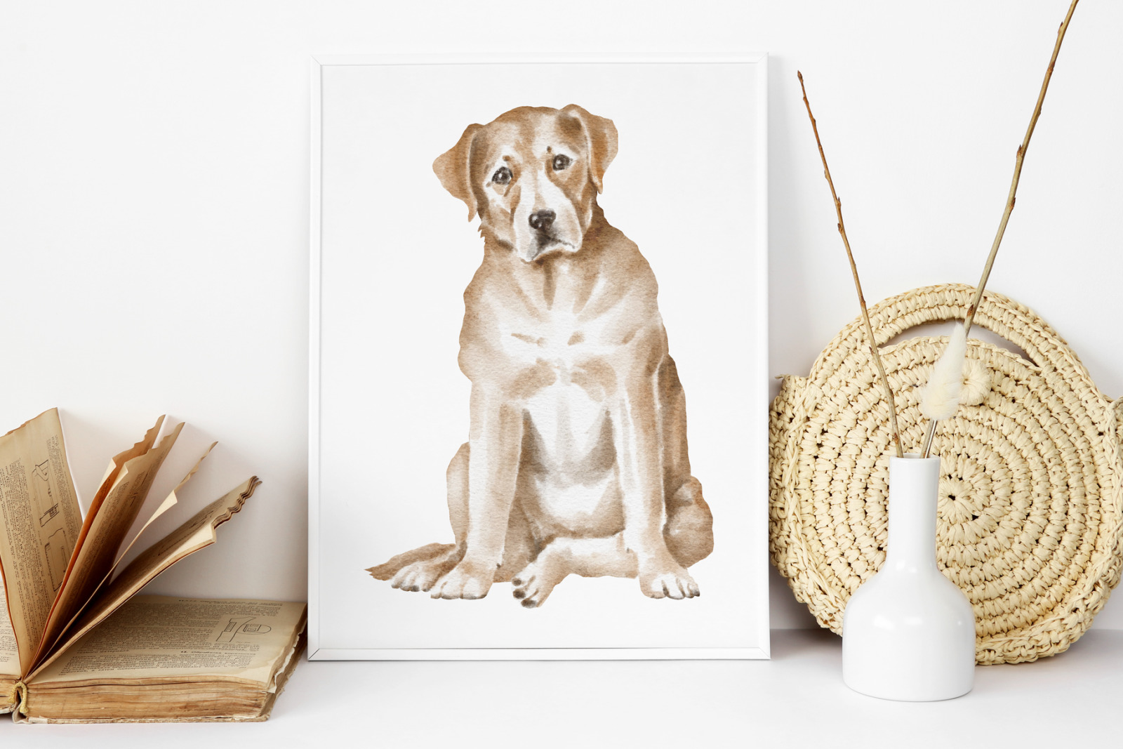 Labrador dogs and puppies Labrador dogs and puppies
