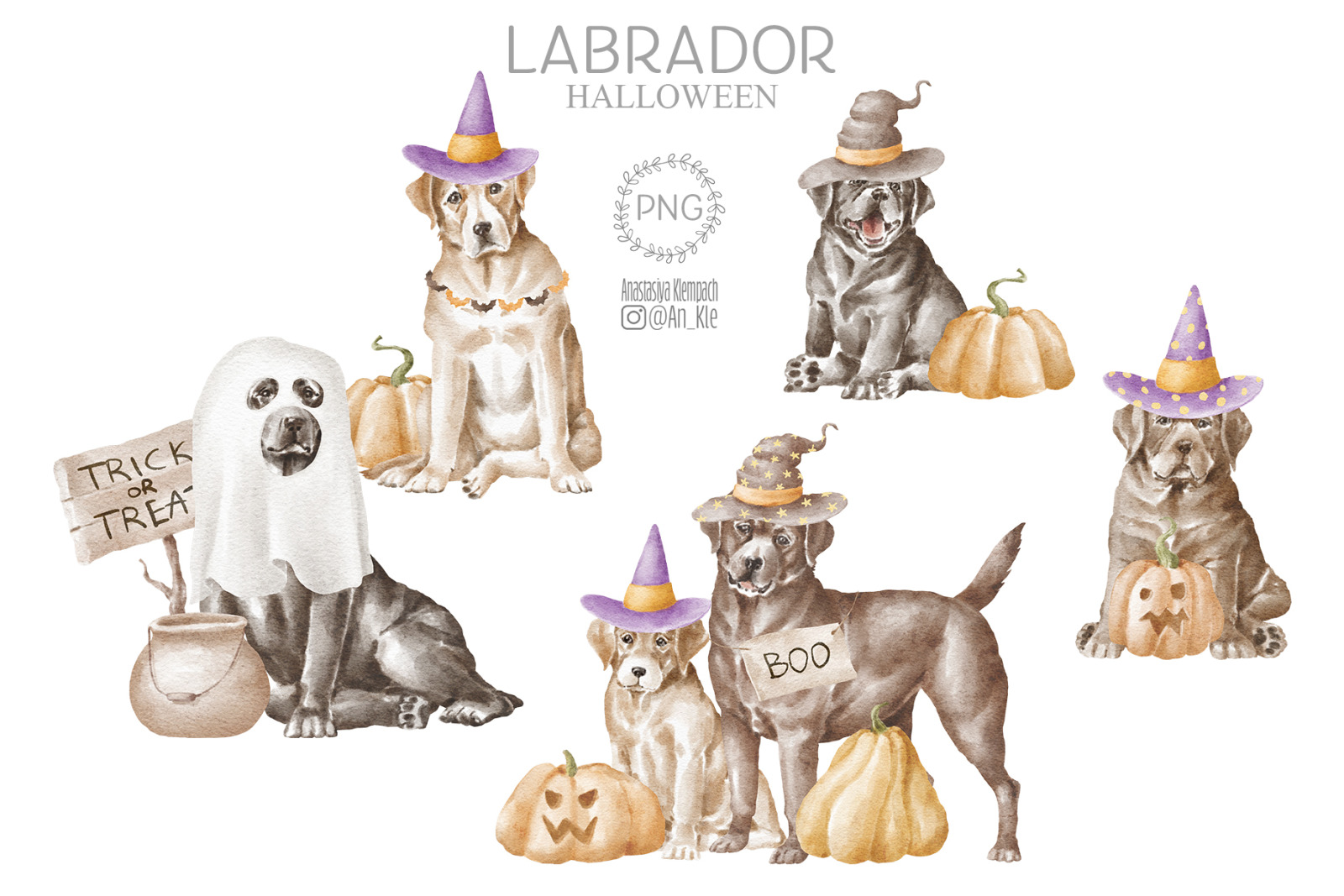 Labrador dogs and puppies Labrador dogs and puppies