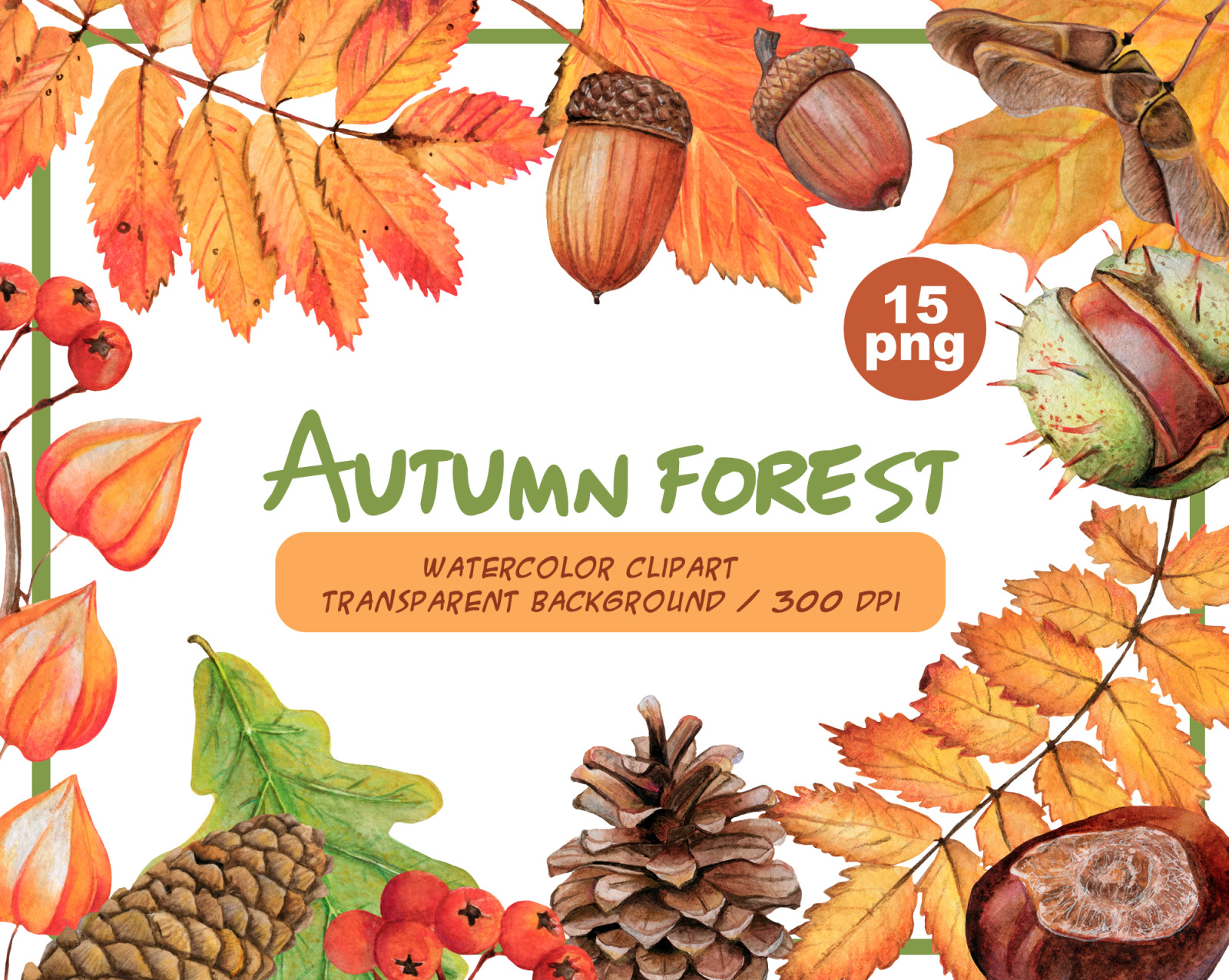 Watercolor autumn forest clipart - Autumn woodland PNG