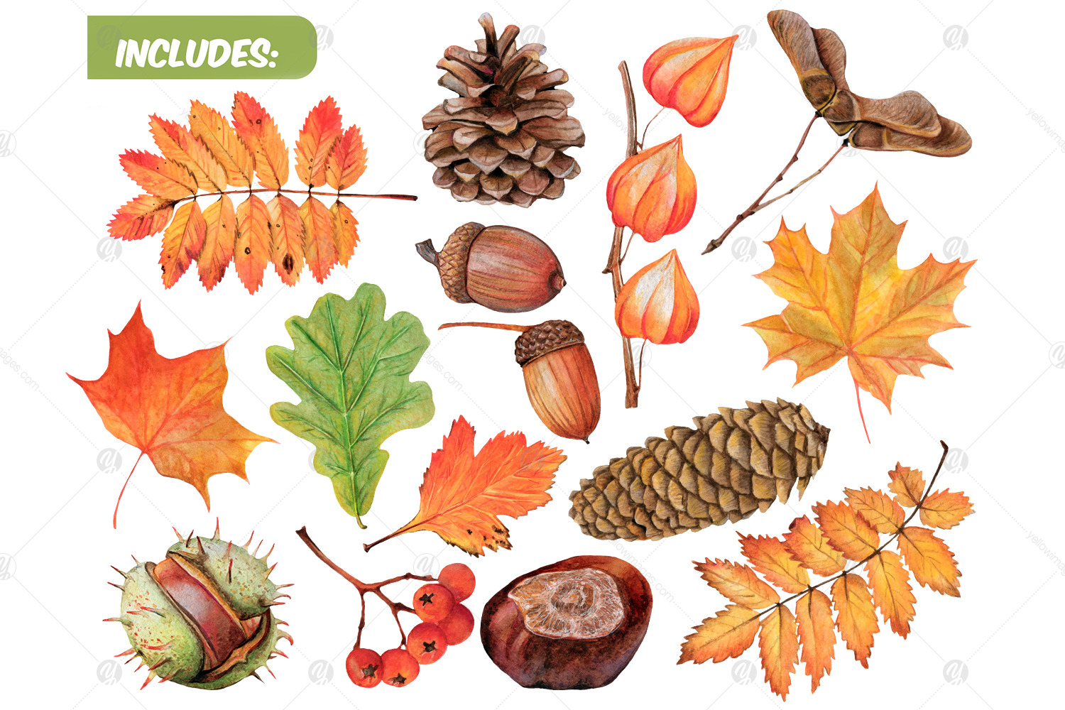 Watercolor autumn forest clipart - Autumn woodland PNG