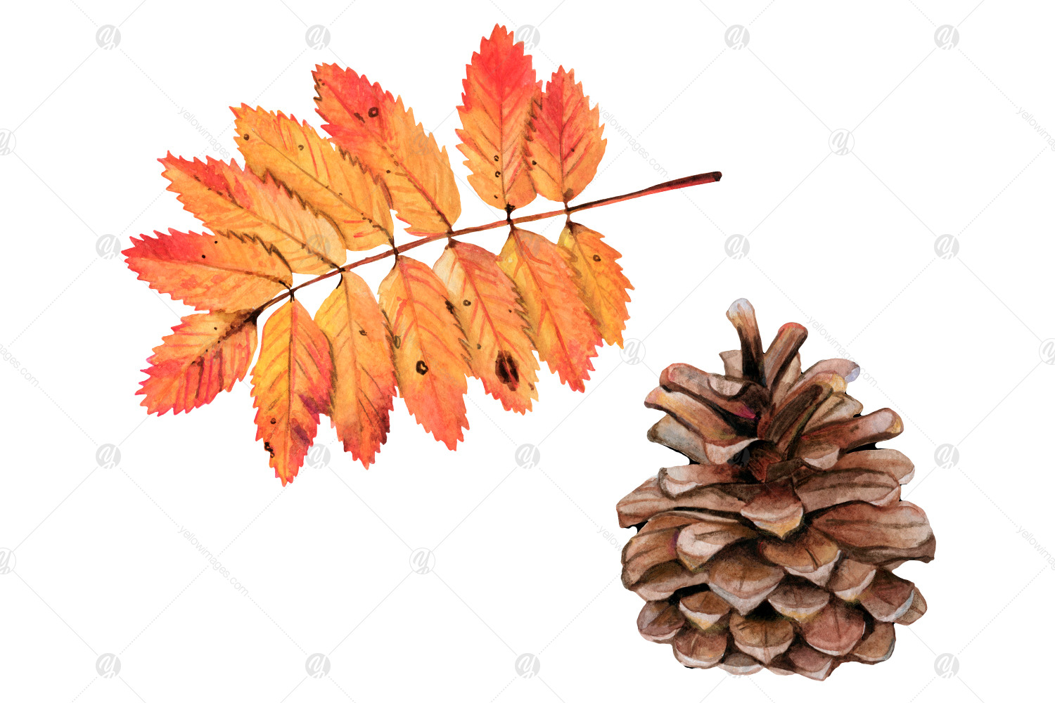 Watercolor autumn forest clipart - Autumn woodland PNG Watercolor autumn forest clipart - Autumn woodland PNG