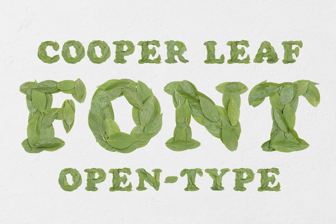 Cooper Leaf Font Cooper Leaf Font