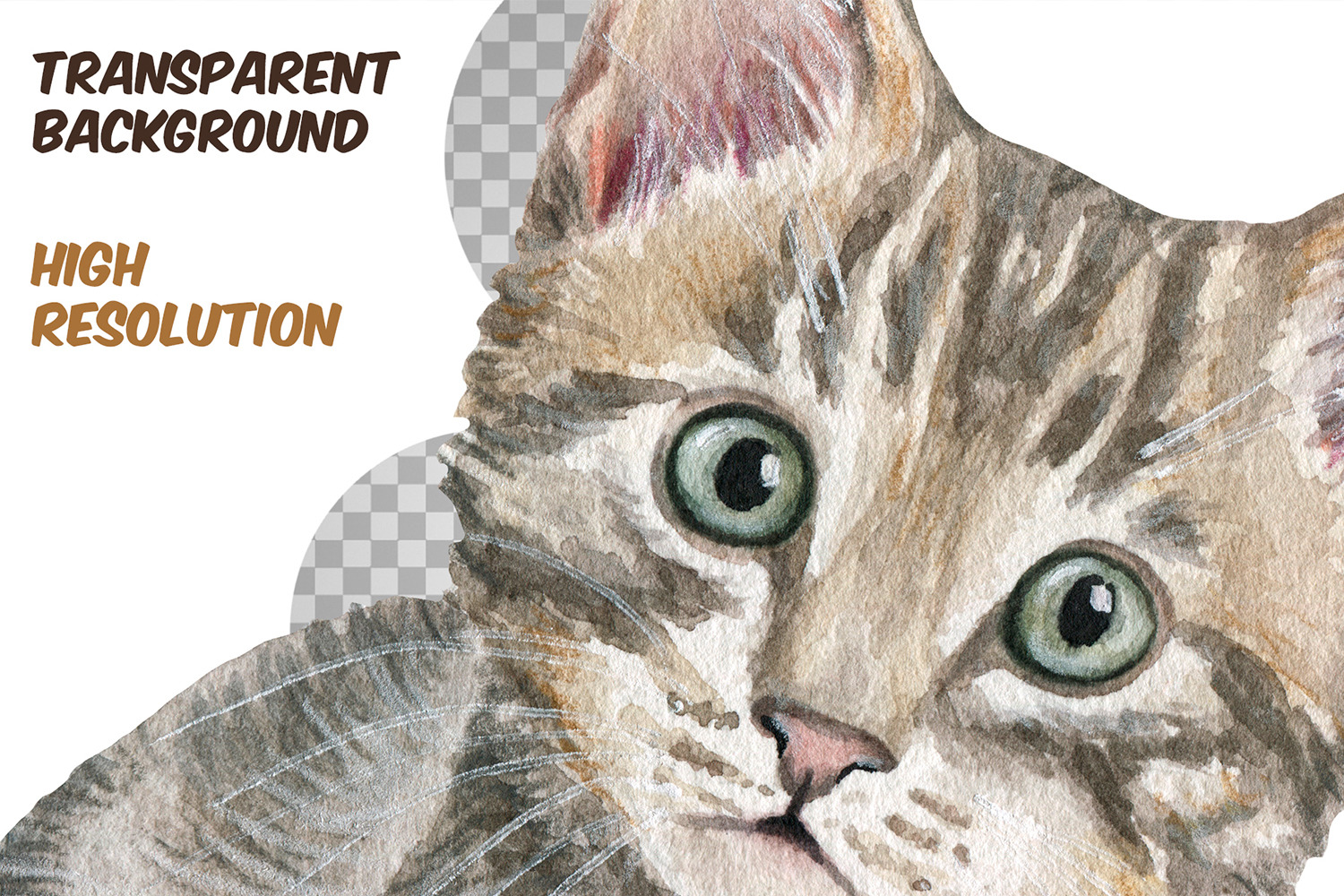 Watercolor kittens clipart set - Realistic cat portrait PNG