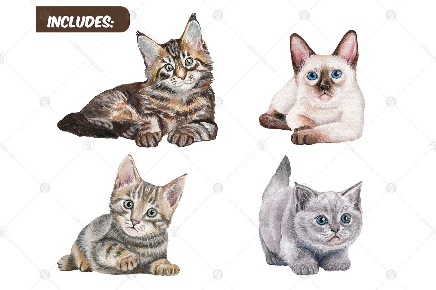 Watercolor kittens clipart set - Realistic cat portrait PNG