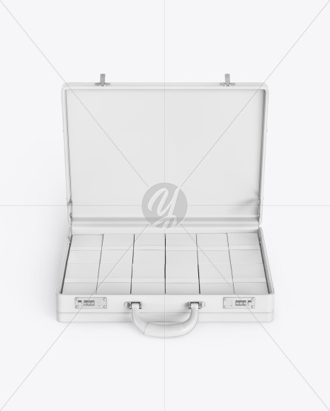 Briefcase with Banknotes Mockup