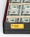 Briefcase with Banknotes Mockup