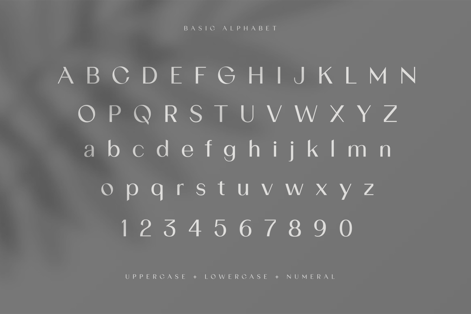 Gracela Sans Serif Elegant Typeface