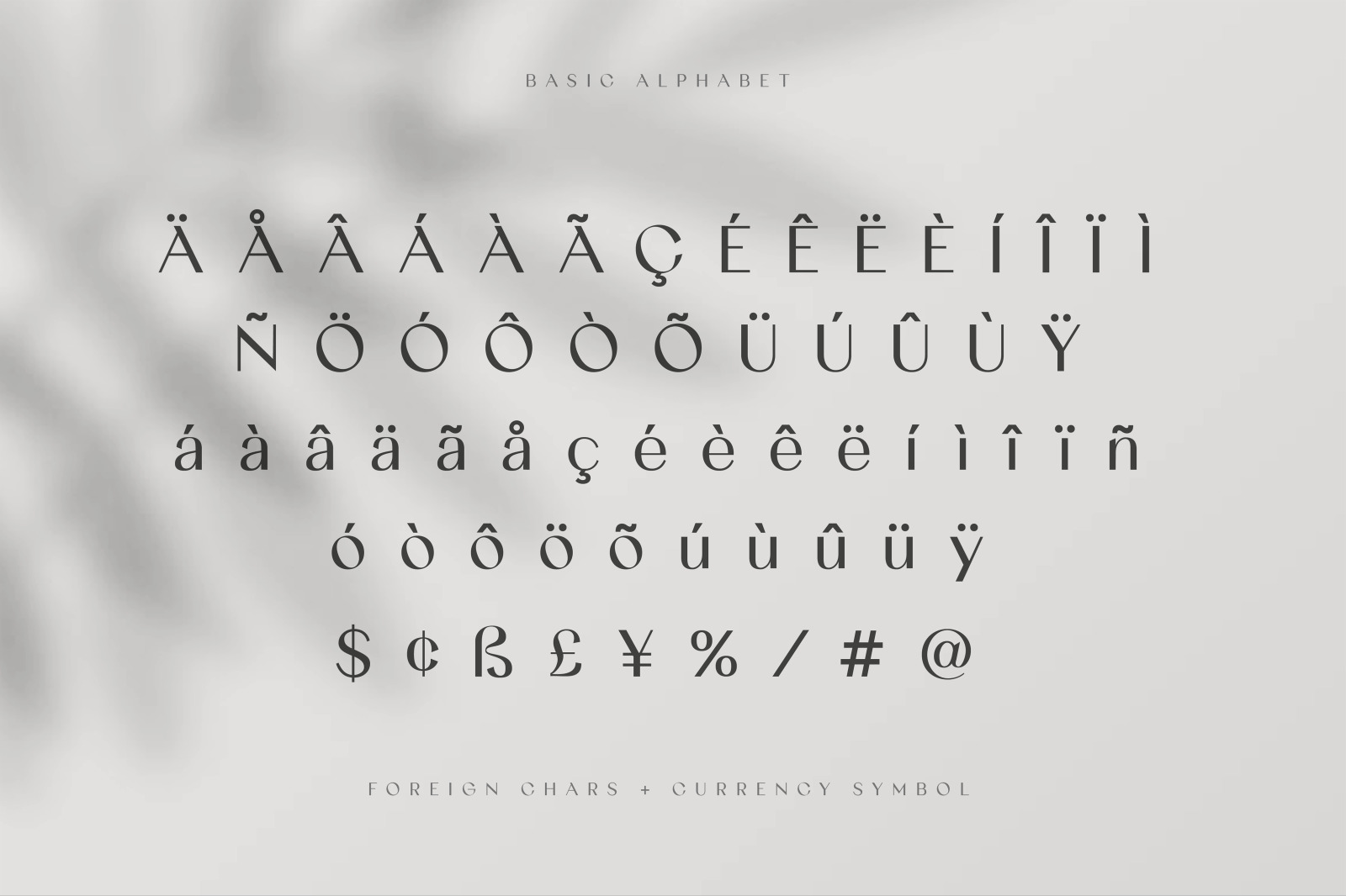 Gracela Sans Serif Elegant Typeface