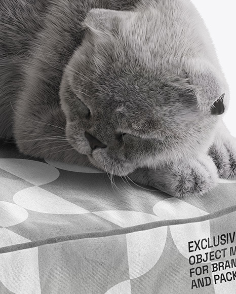 Pet Pillow With Cat Mockup