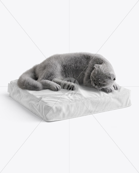 Pet Pillow With Cat Mockup