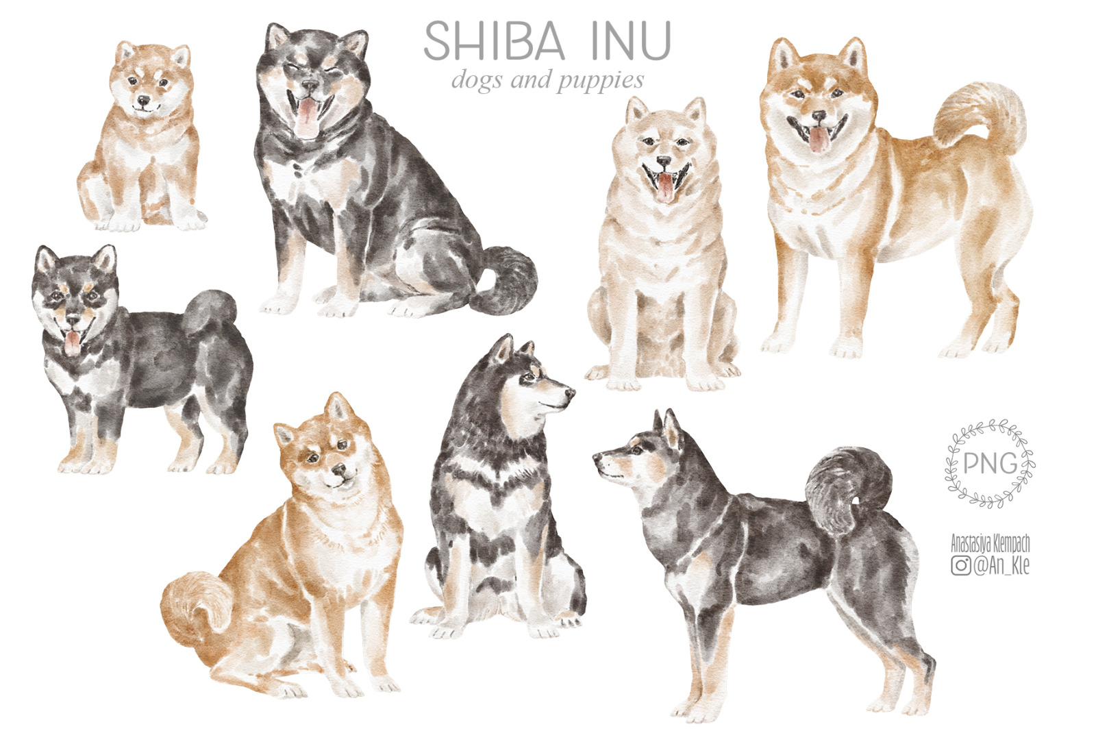 Shiba Inu dogs clipart