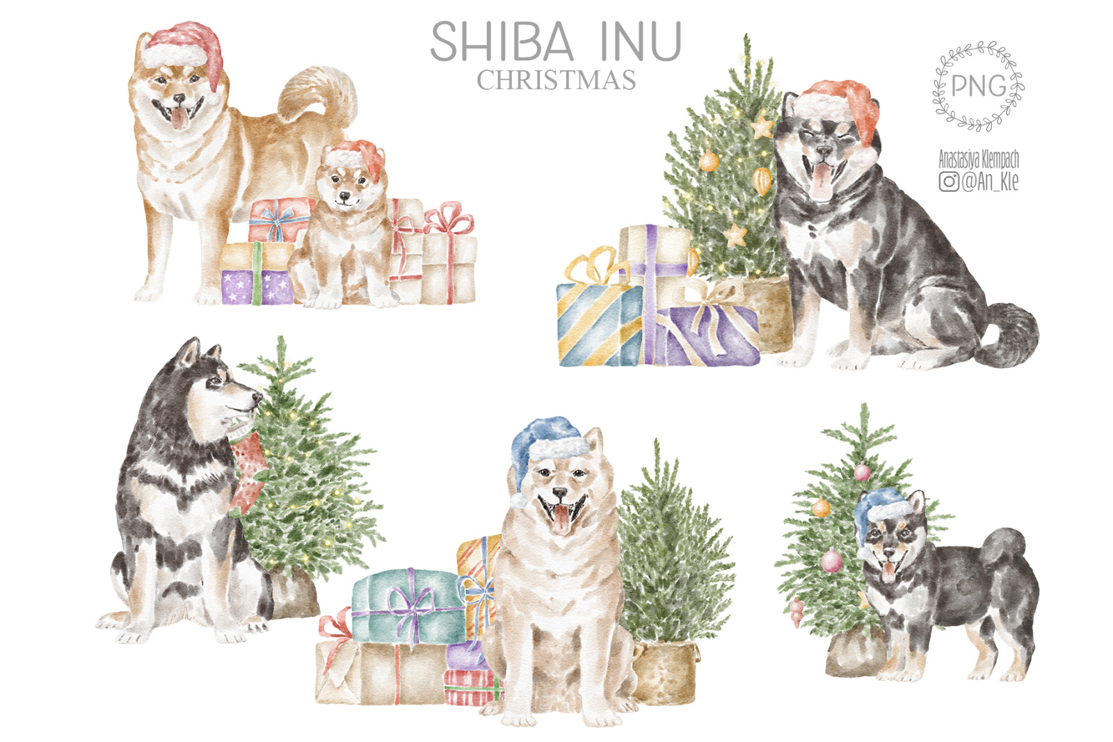 Shiba Inu dogs clipart