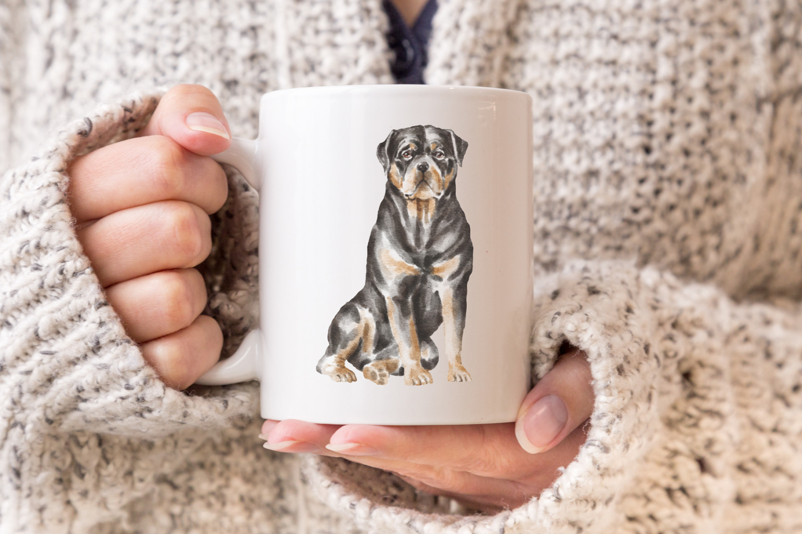 Rottweiler dogs and puppies Rottweiler dogs and puppies