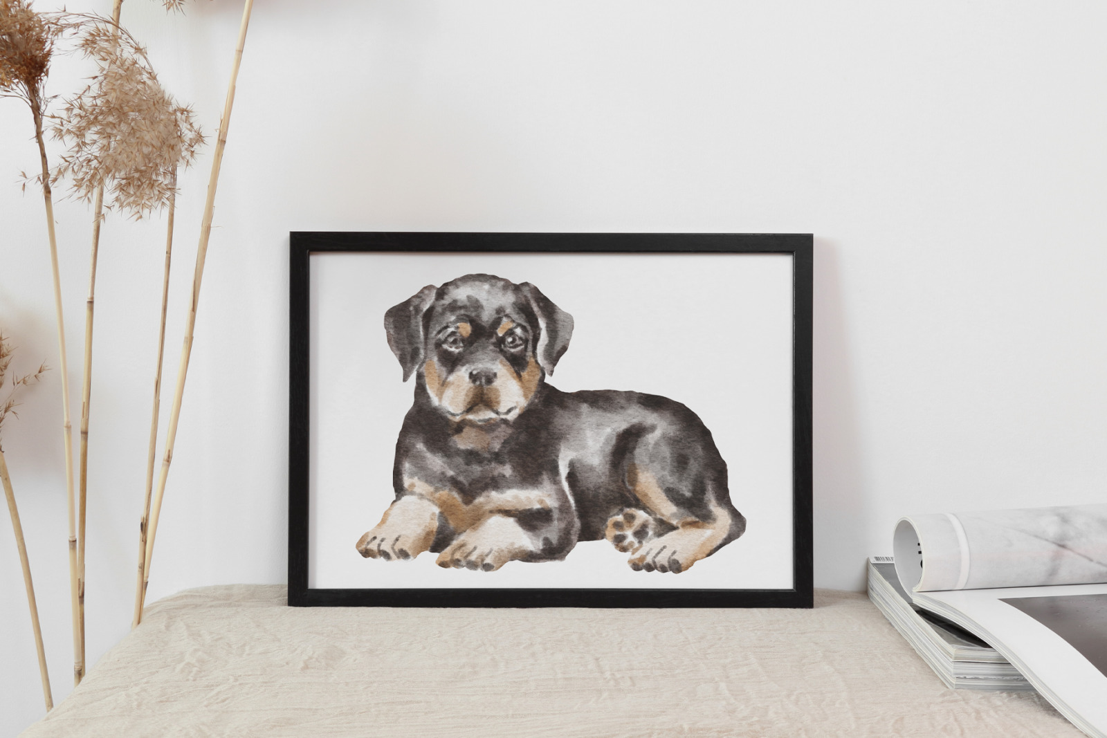 Rottweiler dogs and puppies