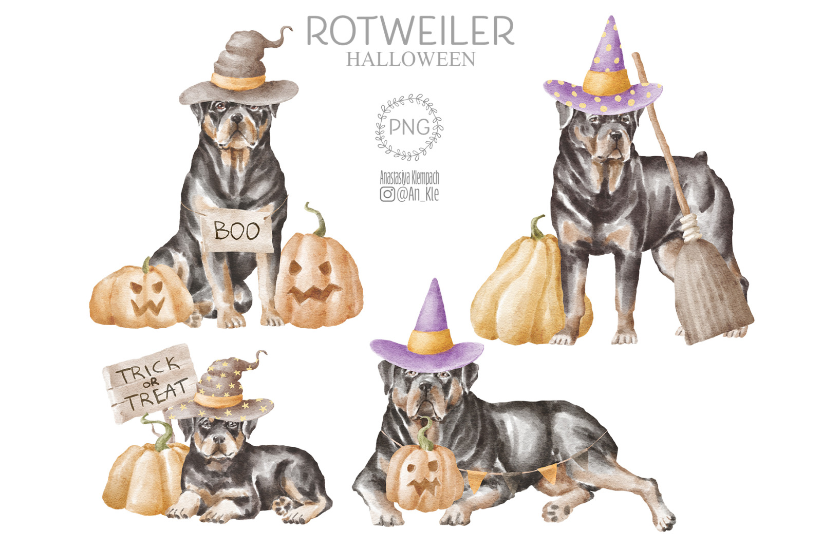 Rottweiler dogs and puppies