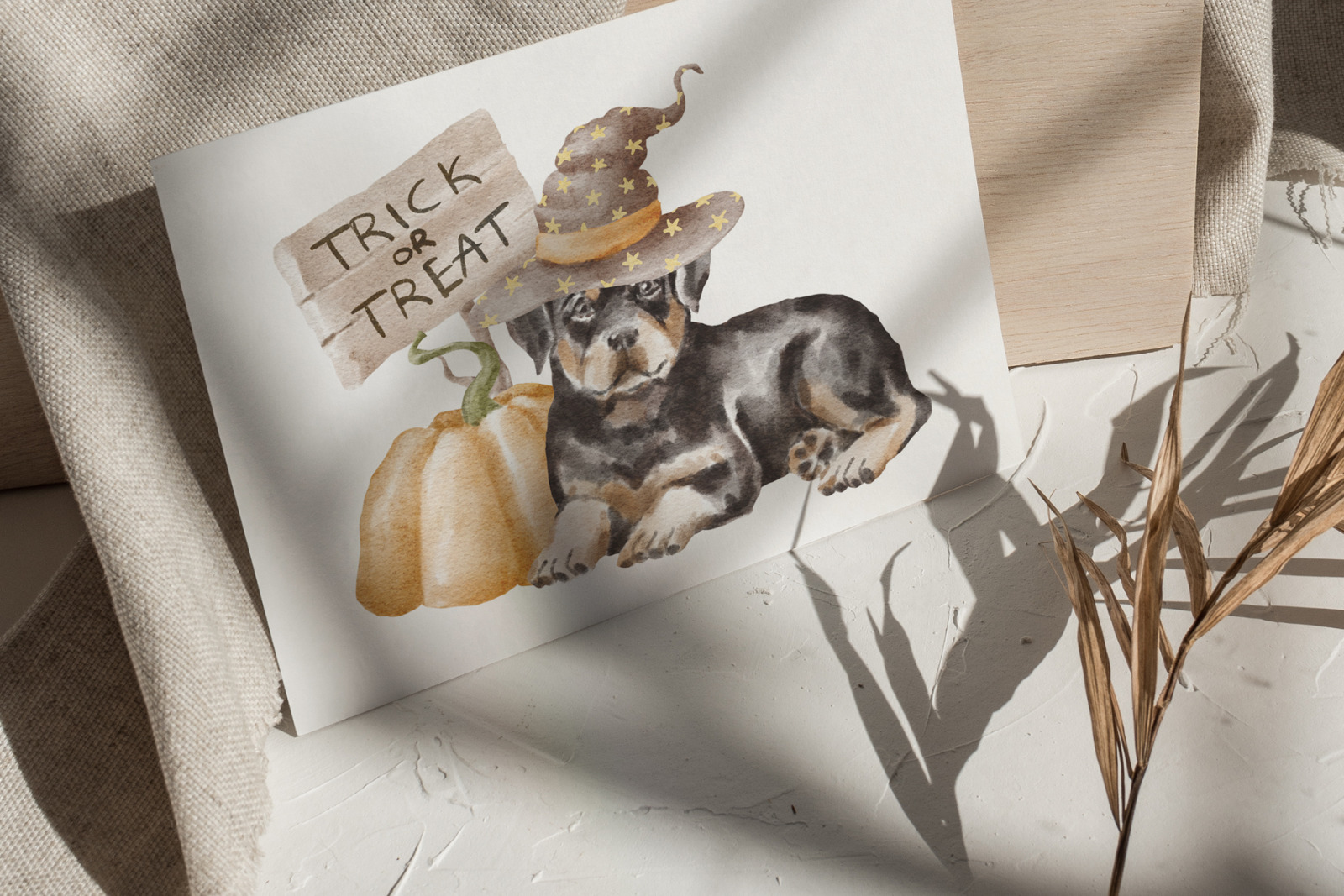 Rottweiler dogs and puppies Rottweiler dogs and puppies