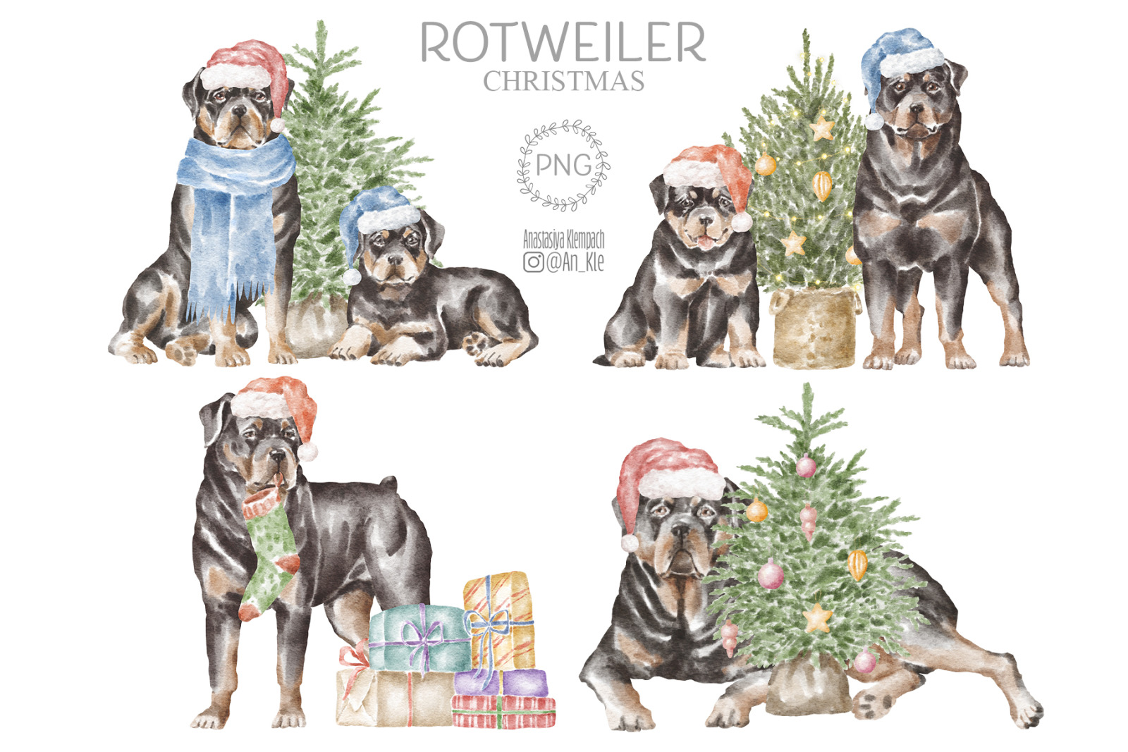 Rottweiler dogs and puppies