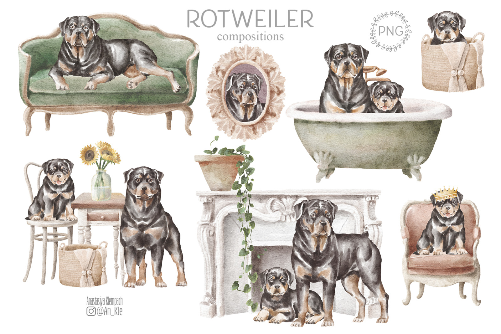 Rottweiler dogs and puppies